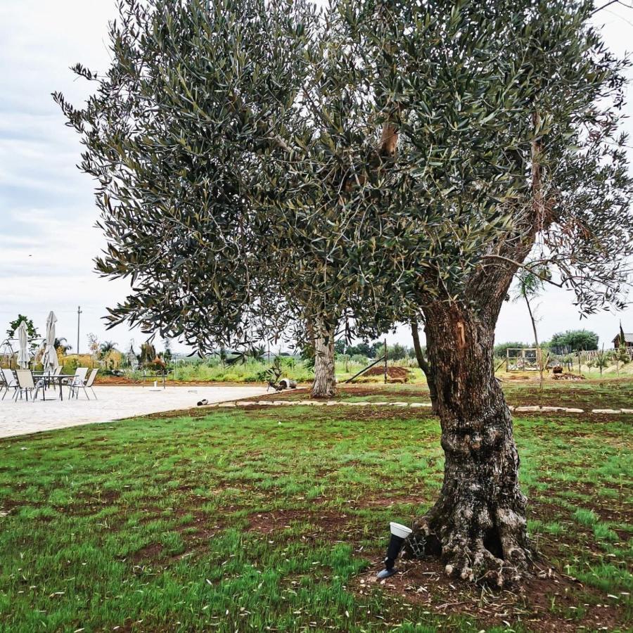 Il Sentiero Di Leano Otel Terracina Dış mekan fotoğraf