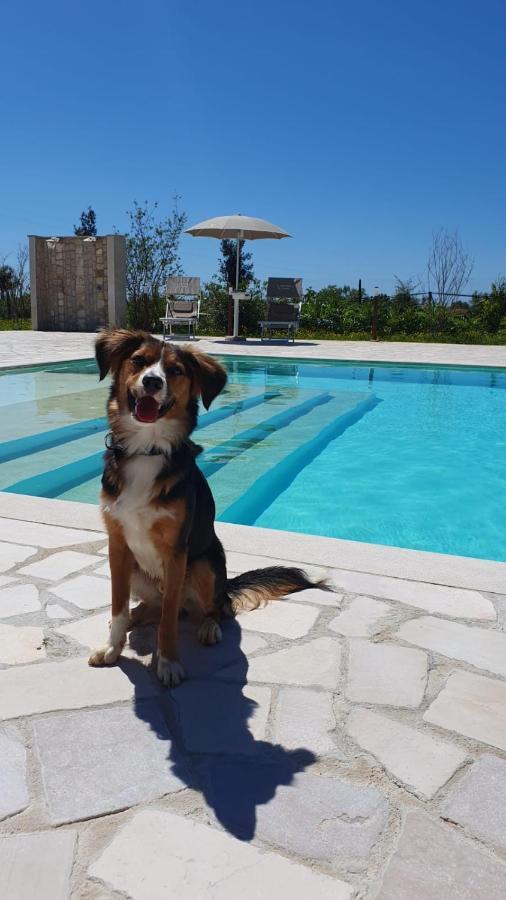 Il Sentiero Di Leano Otel Terracina Dış mekan fotoğraf